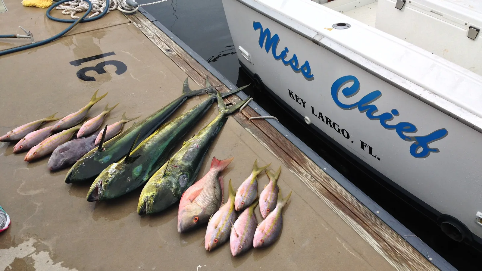 Catch & Cook — Key Largo