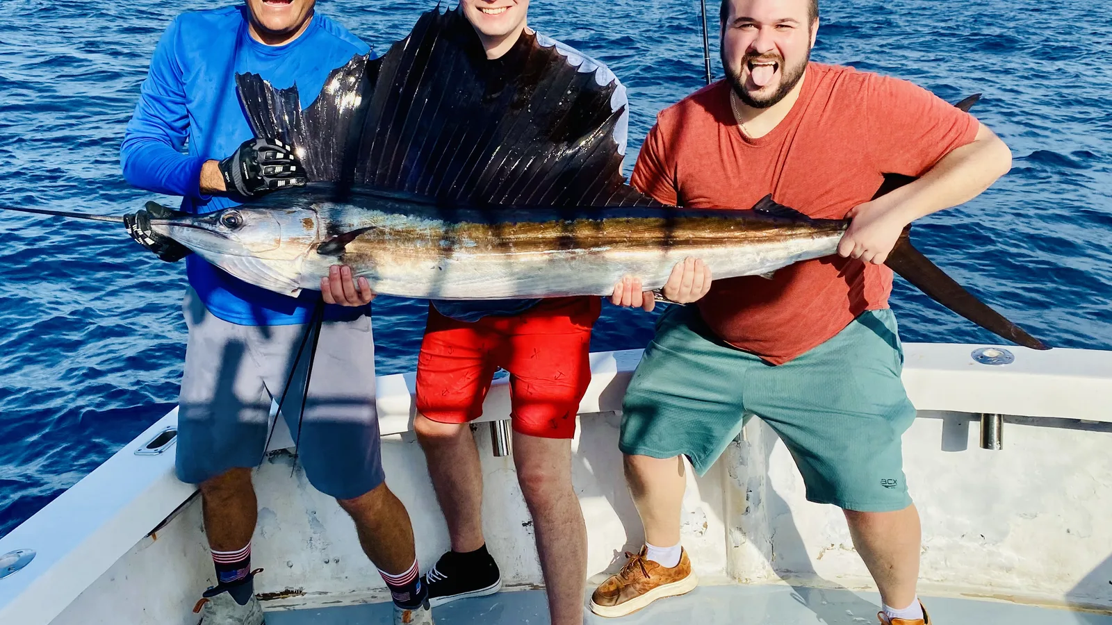 Sailfish